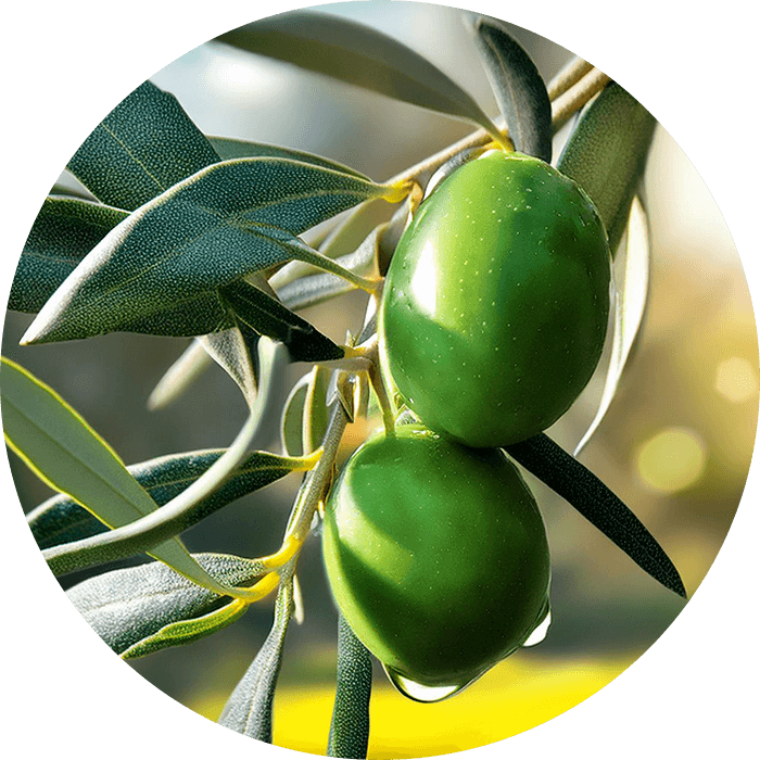 Esqualano Vegetal