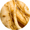 Extrato de Ginseng